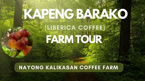 coffee farm in batangas|Farm To Table: Kapeng Barako 101 in Ibaan, Batangas Urban .